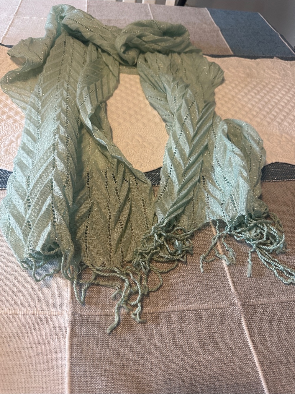Light Mint Green Knit Fringe Scarf